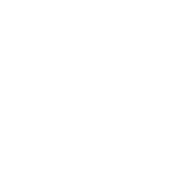 Bestaand beeldmerk van The Driven Club